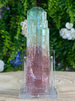 Watermelon Tourmaline