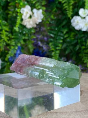 Watermelon Tourmaline