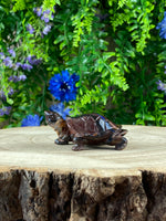 Boulder Opal Tortoise Carving