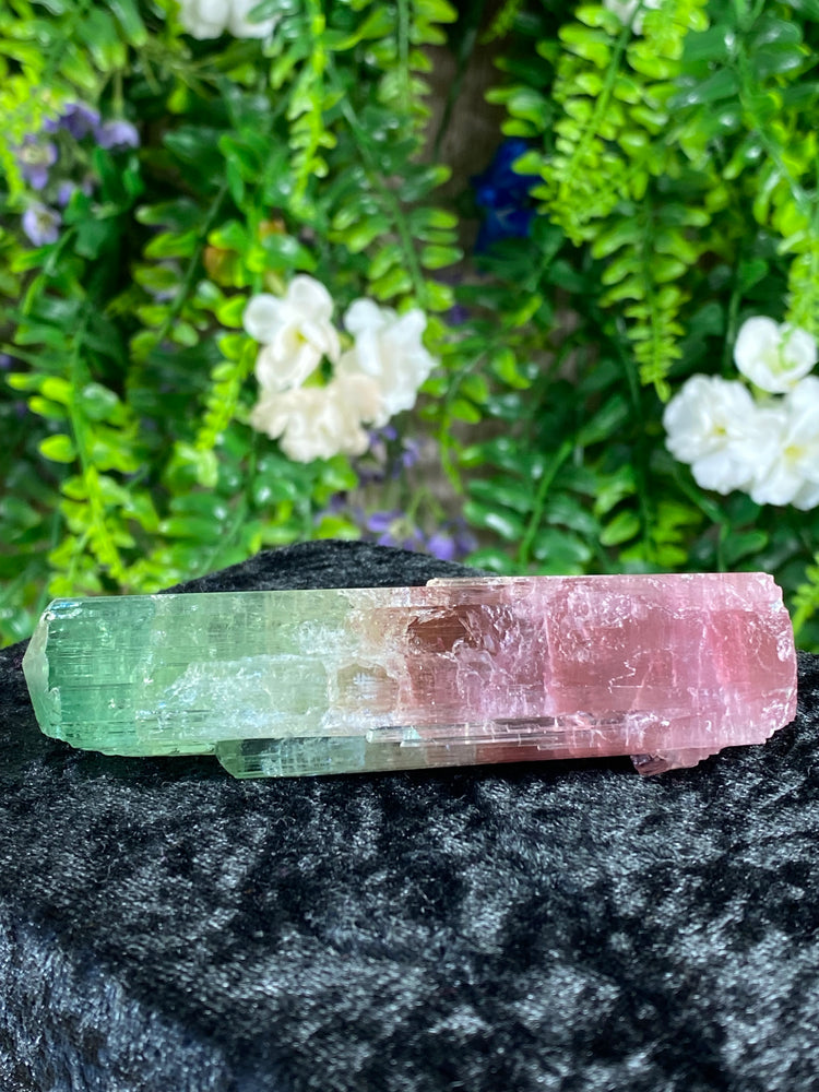 Watermelon Tourmaline