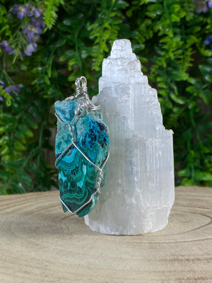 Malacholla Wire Wrapped Pendant