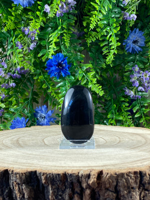 Sheen Obsidian Palm Stone