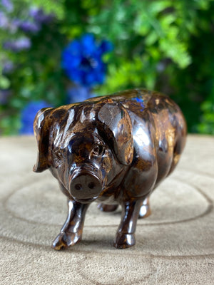 Boulder Opal Pig Carving