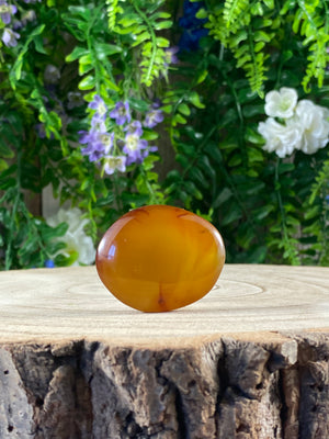 Carnelian Palmstone