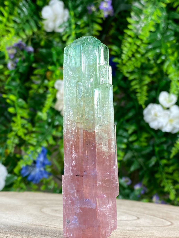 Watermelon Tourmaline