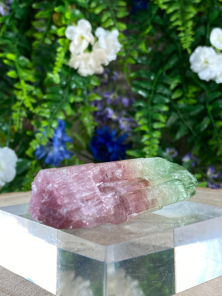 Watermelon Tourmaline