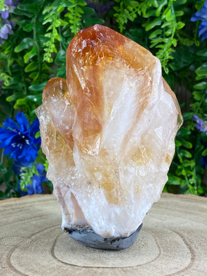 Natural Citrine Cluster