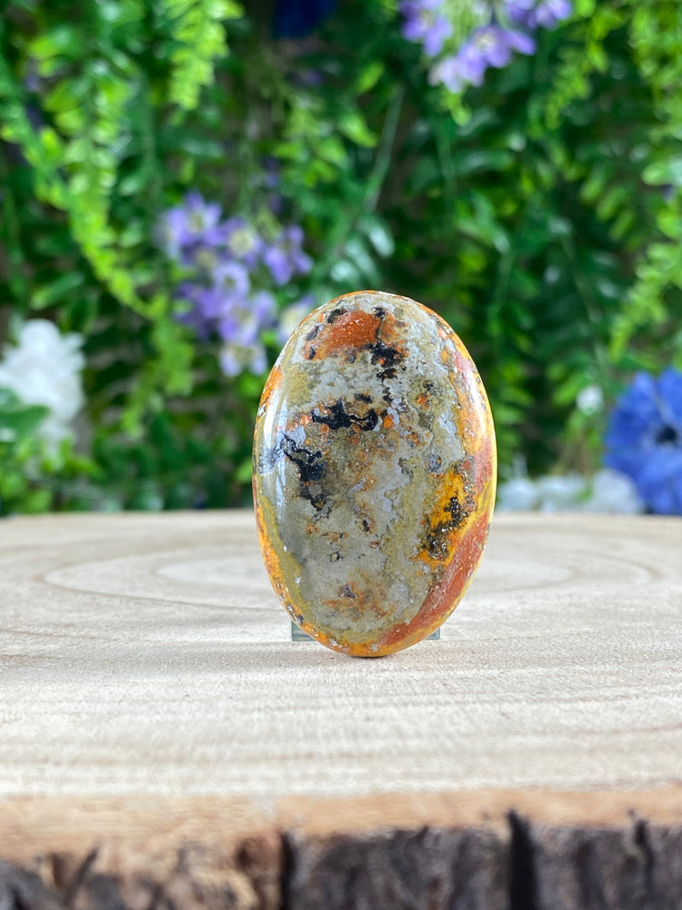 Bumblebee Jasper Palmstone