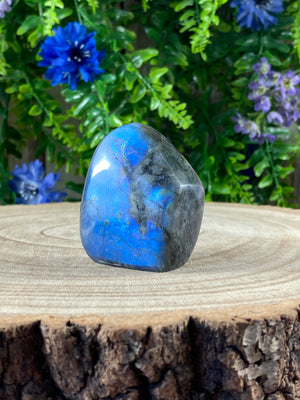 Labradorite Freeform
