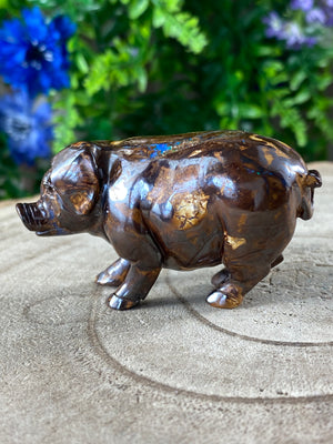 Boulder Opal Pig Carving