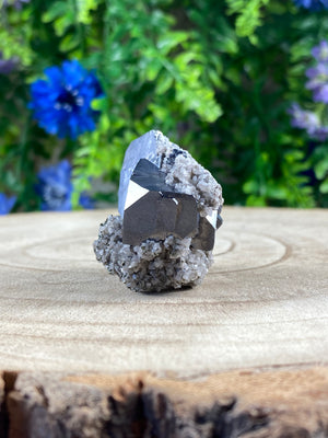 Galena on Calcite / Pyrite