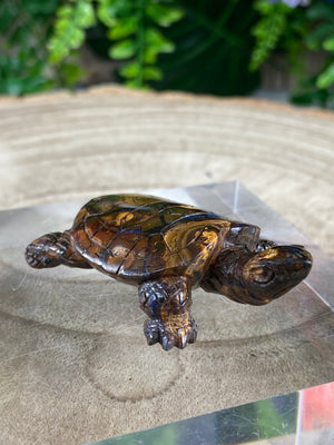Opal Tortoise Carving