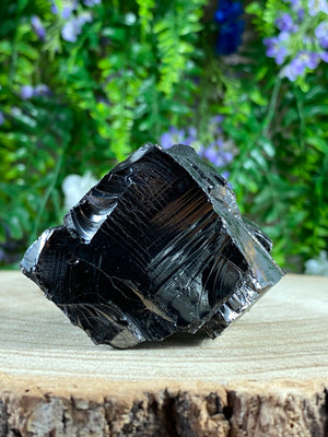 Shungite