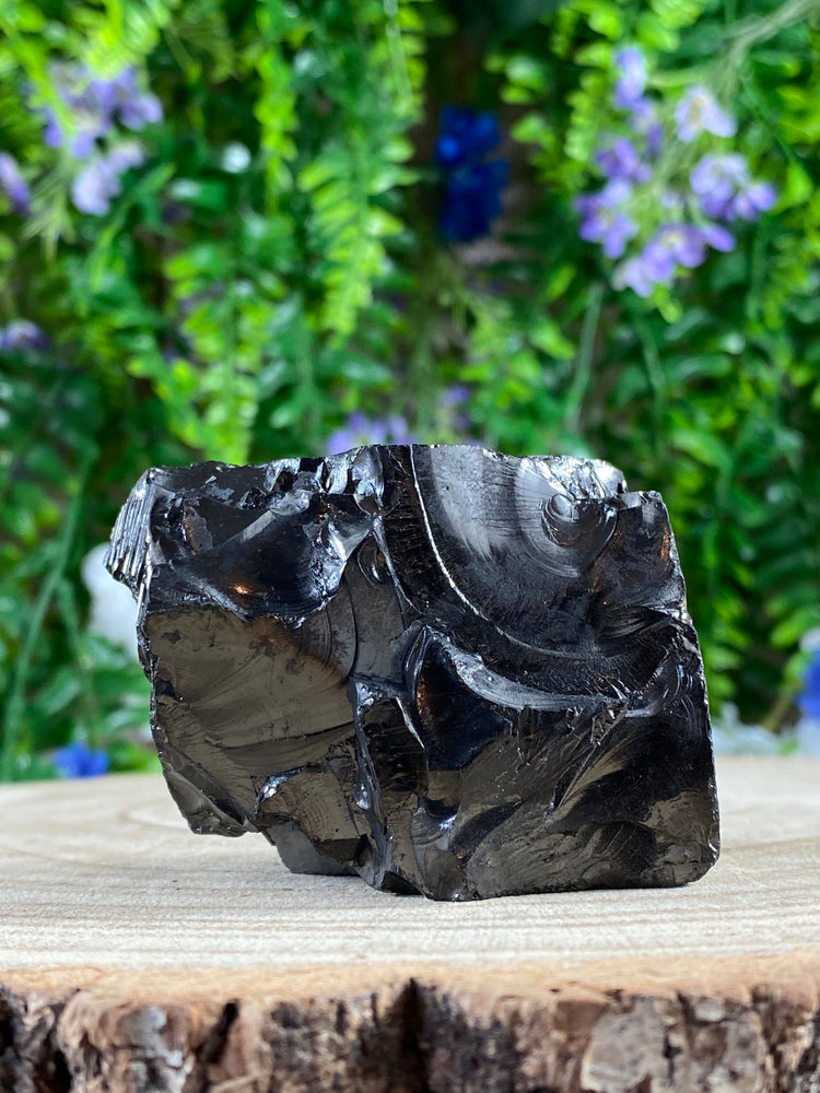 Shungite