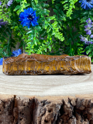 Tigers Eye