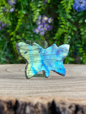 Labradorite Butterfly Carving