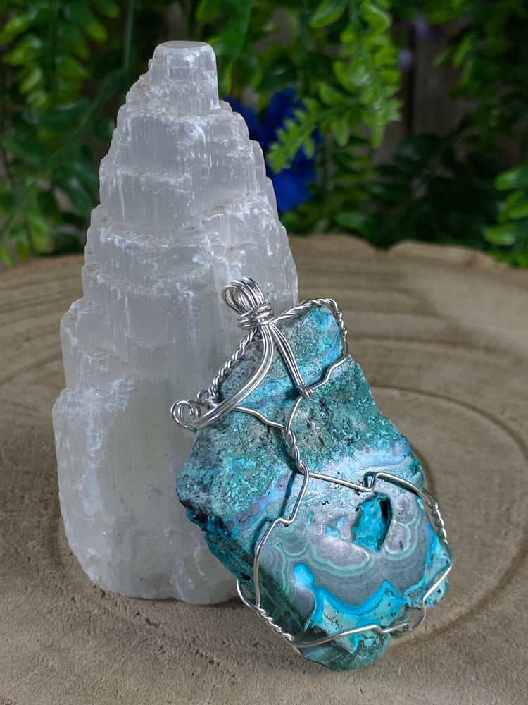 Malacholla Wire Wrapped Pendant