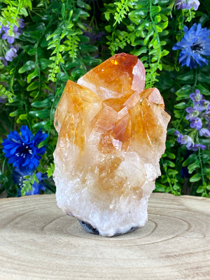 Natural Citrine Cluster