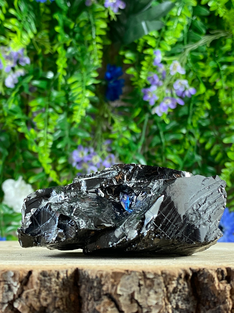 Shungite