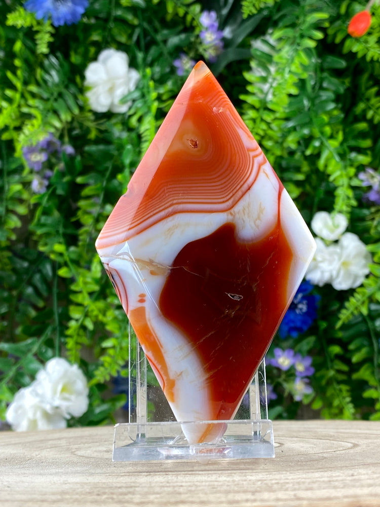 Agate Kite