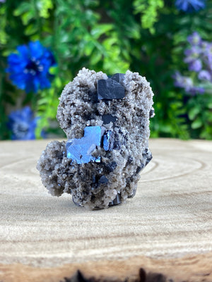 Galena on Calcite / Pyrite