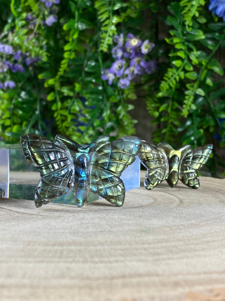 Labradorite Butterfly Carving