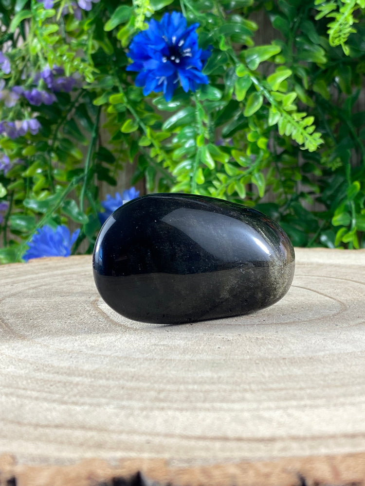 Sheen Obsidian Palm Stone
