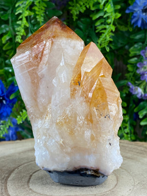 Natural Citrine Cluster