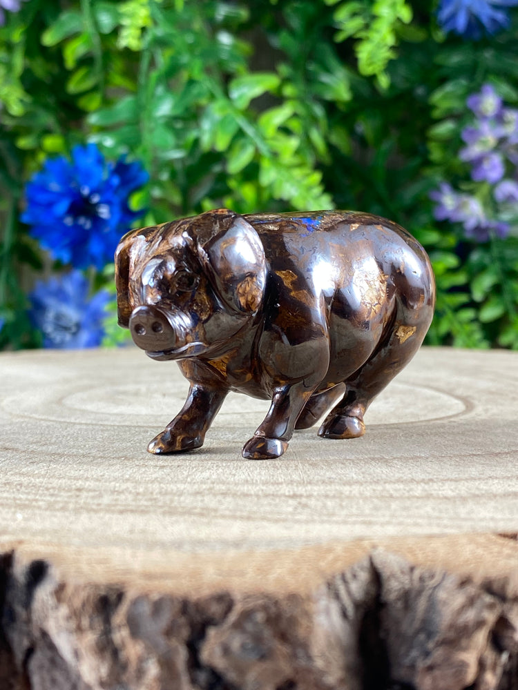 Boulder Opal Pig Carving