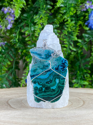 Malacholla Wire Wrapped Pendant