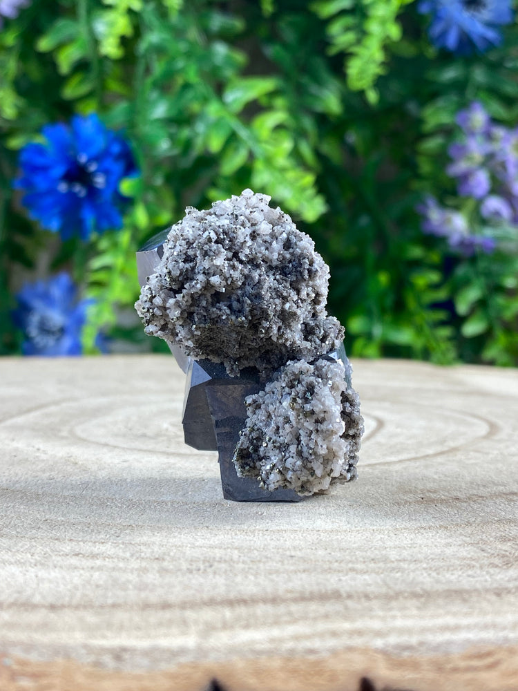 Galena on Calcite / Pyrite