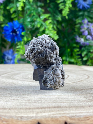 Galena on Calcite / Pyrite