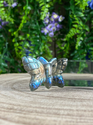 Labradorite Butterfly Carving