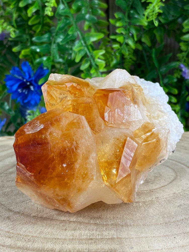 Natural Citrine Cluster