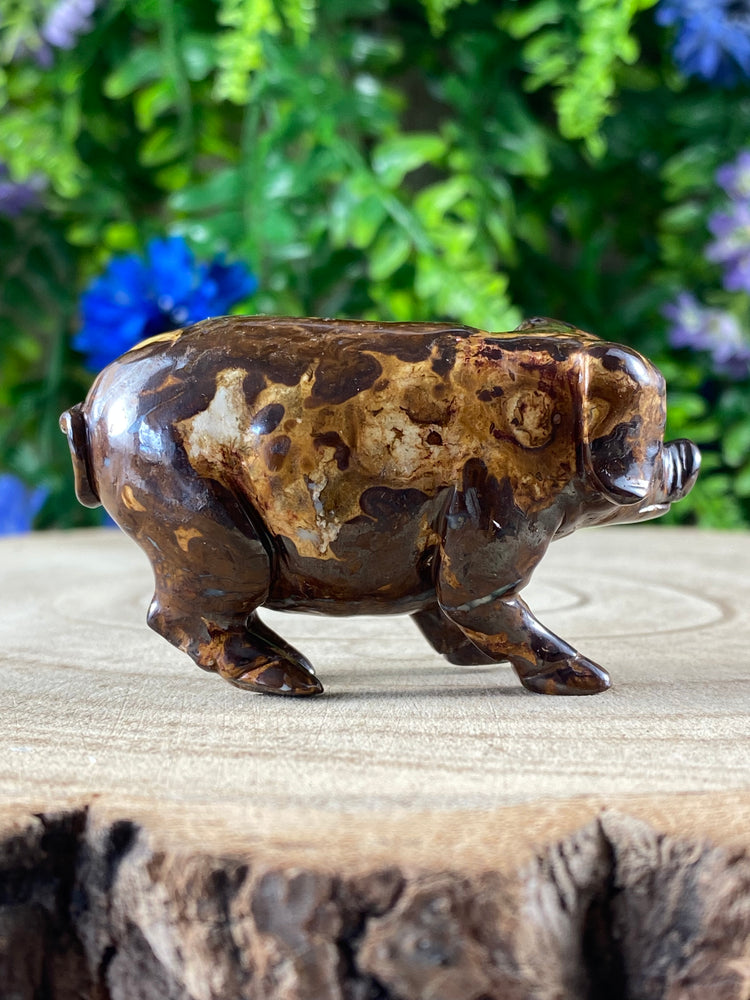 Boulder Opal Pig Carving