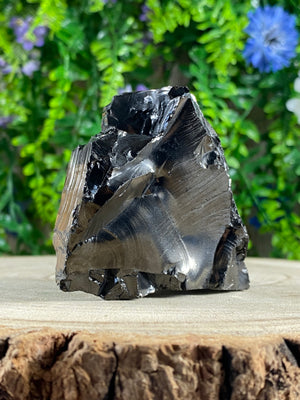 Shungite