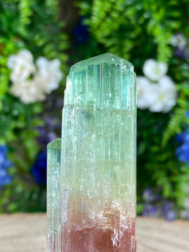 Watermelon Tourmaline