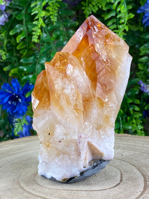 Natural Citrine Cluster