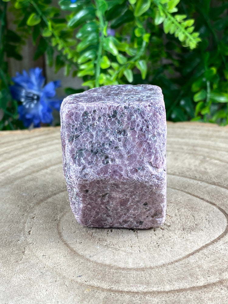 Raw Ruby
