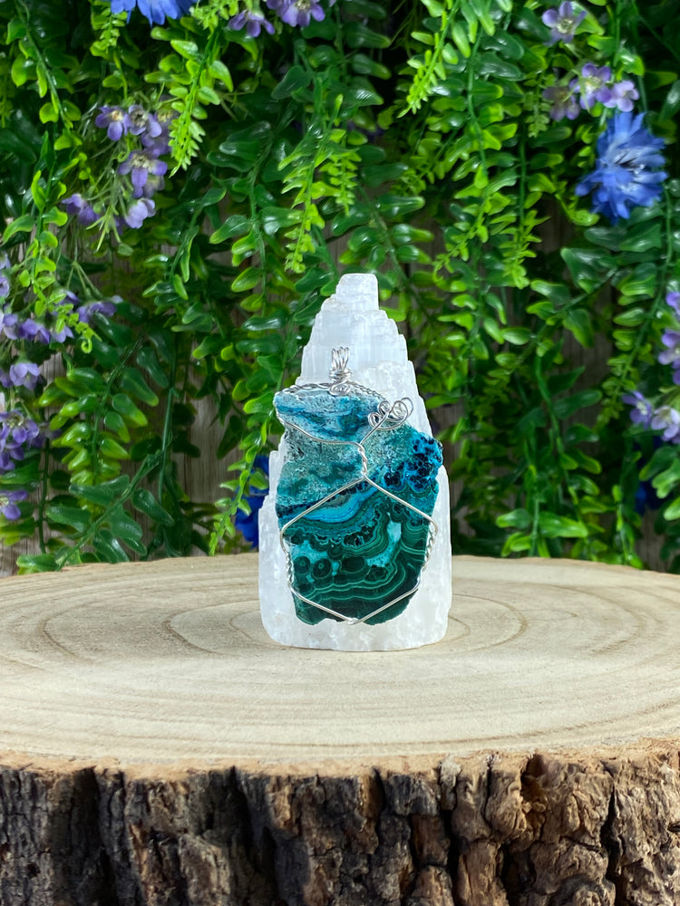 Malacholla Wire Wrapped Pendant