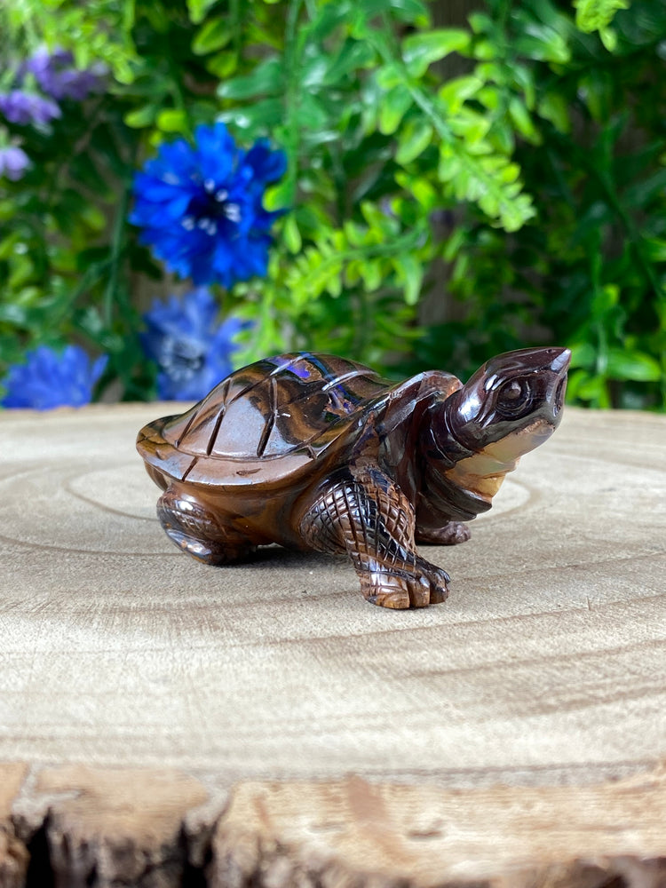 Boulder Opal Tortoise Carving