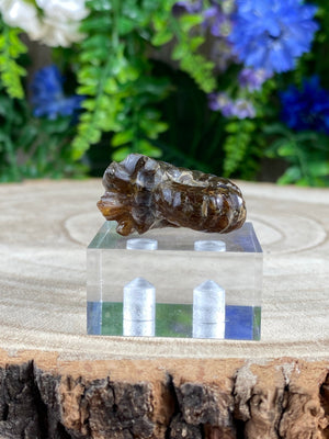 Elements of Avebury Ammonite