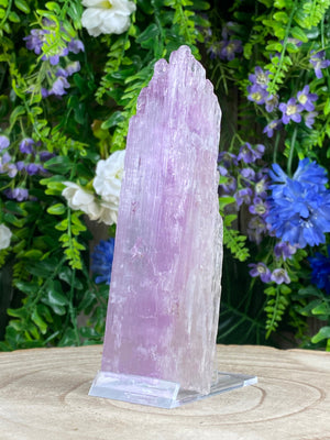 Elements of Avebury Kunzite