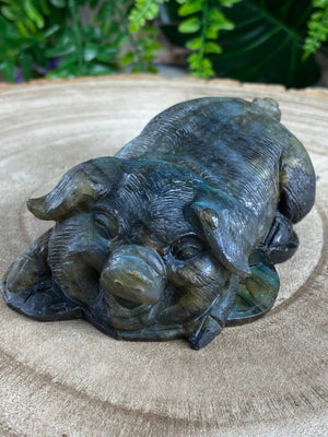 Elements of Avebury Labradorite Pig Carving