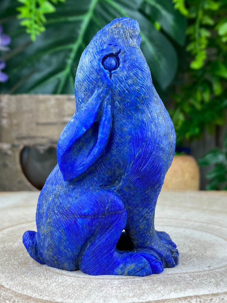 Lapis Lazuli Hare