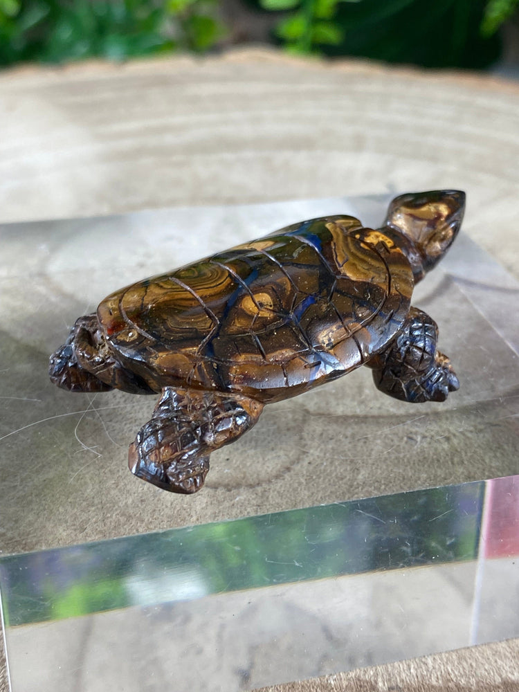 Elements of Avebury Opal Tortoise Carving