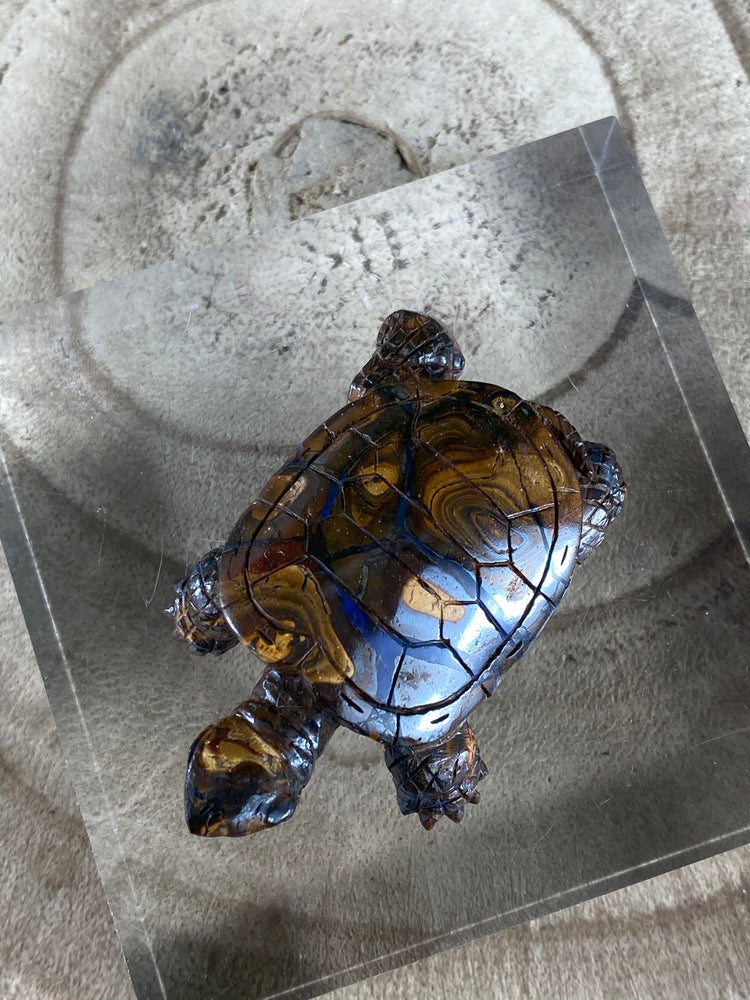 Elements of Avebury Opal Tortoise Carving