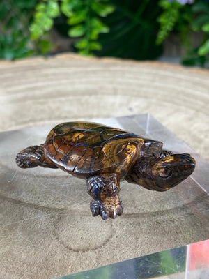 Elements of Avebury Opal Tortoise Carving