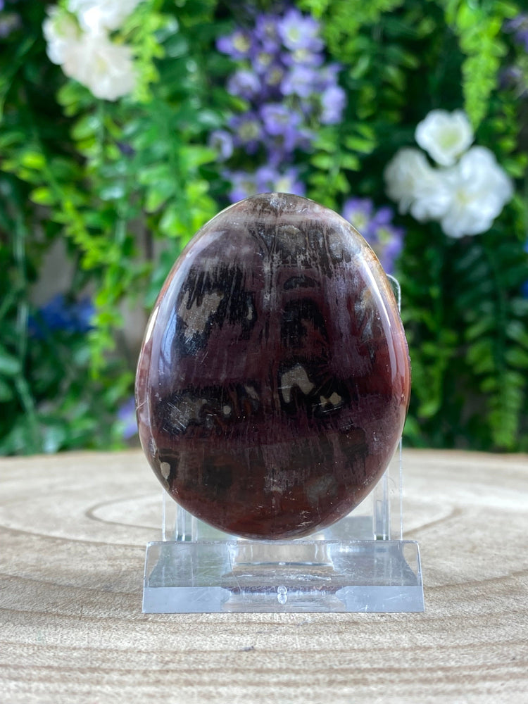 Elements of Avebury Petrified Wood