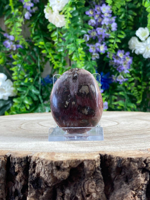 Elements of Avebury Petrified Wood